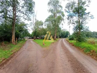 Área rural, foto 5