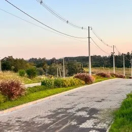 Uma estrada pavimentada com vegetação e postes de energia ao ar livre.