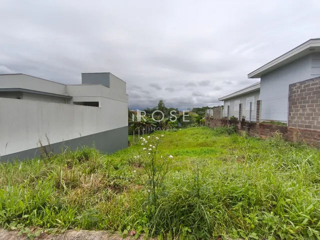 Vista externa da propriedade com vegetação alta e muros de vedação.