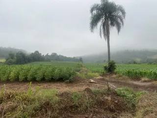 Imóvel, foto 5