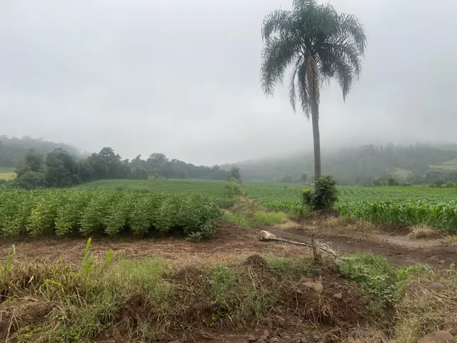 Imóvel, foto 5