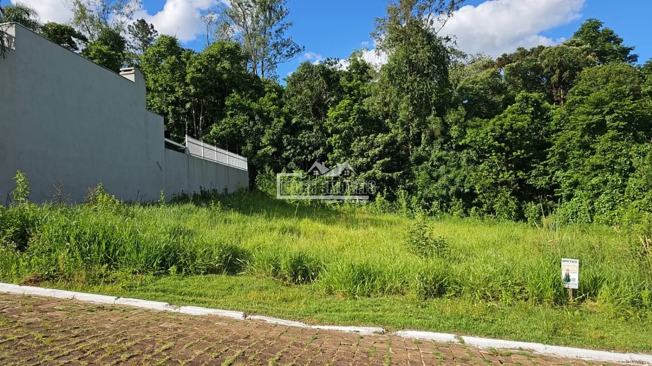 Terreno, foto 1