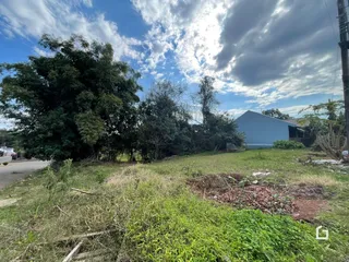 Vista externa de um terreno com vegetação densa e uma construção ao fundo.