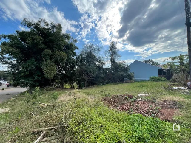 Vista externa de um terreno com vegetação densa e uma construção ao fundo.