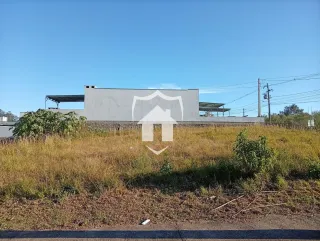 Terreno, foto 3