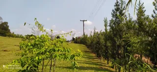 Área rural, foto 26