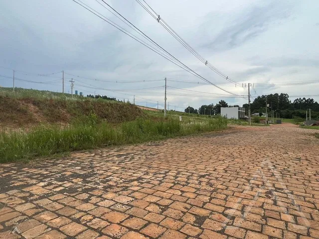 Terreno, foto 2