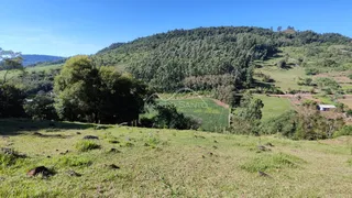 Paisagem de colinas verdes e vegetação densa em Lajeado, Brasil.