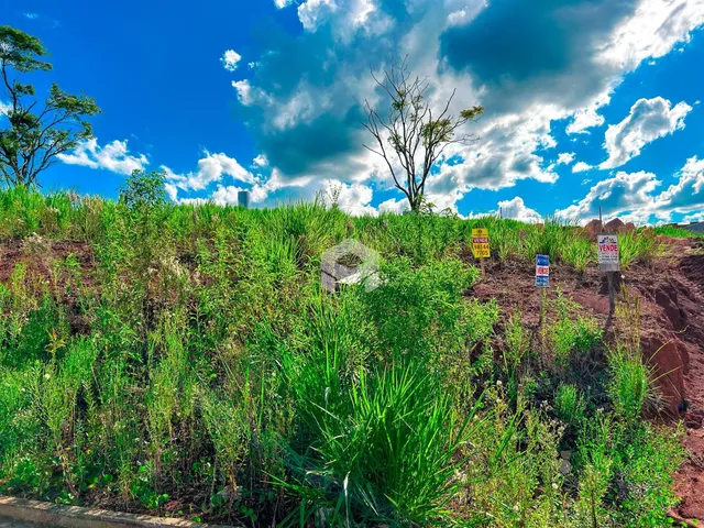 Paisagem de vegetação verde em uma encosta sob um céu azul e nublado.