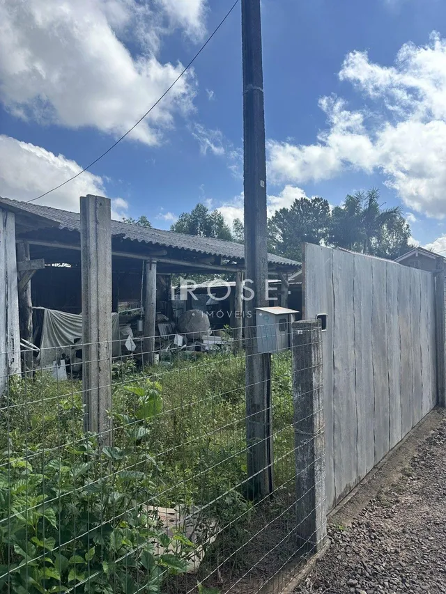 Terreno, foto 3