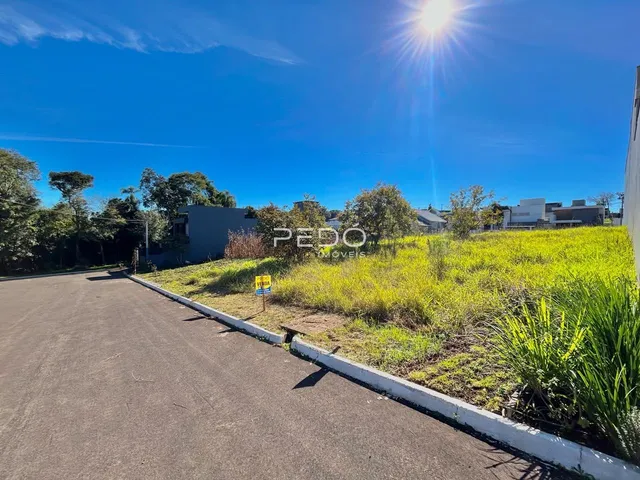 Vista externa de uma propriedade com gramado e estrada no primeiro plano.