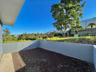 Vista externa de um quintal com muro de concreto e vegetação.