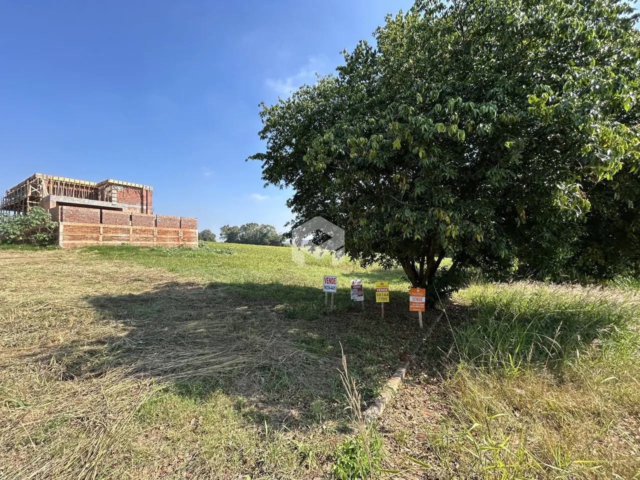 Vista de um campo gramado com árvores e construção ao fundo.