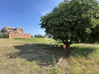 Vista de um campo gramado com árvores e construção ao fundo.