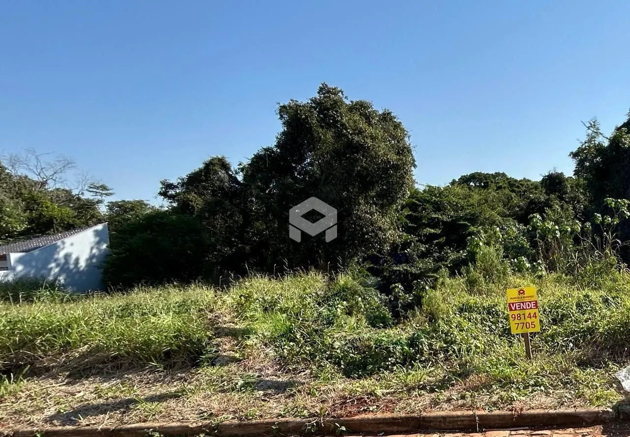 Paisagem de terreno com vegetação densa e grama alta.