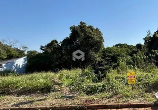 Paisagem de terreno com vegetação densa e grama alta.