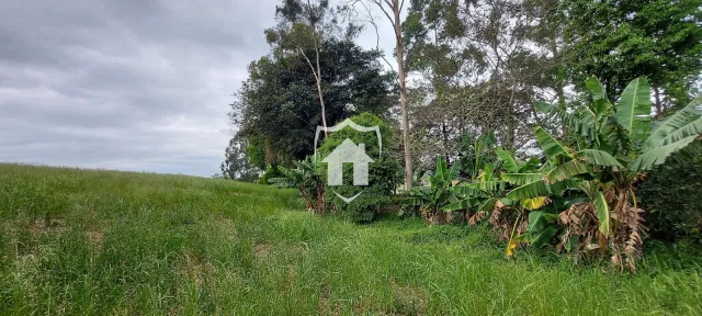 Terreno, foto 3