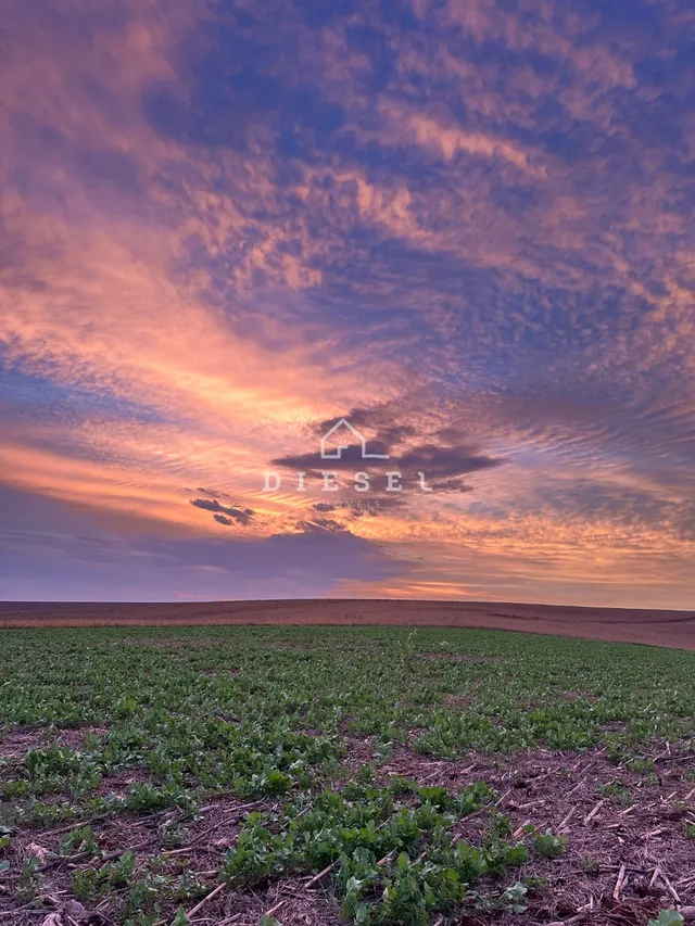 Área rural, foto 4