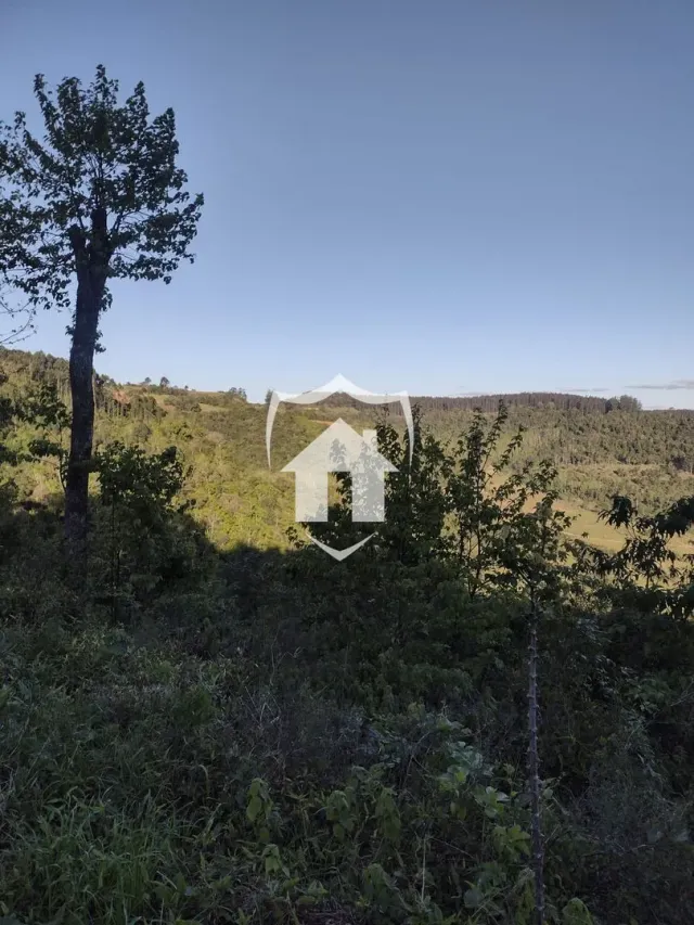 Área rural com 2 dormitórios, foto 5