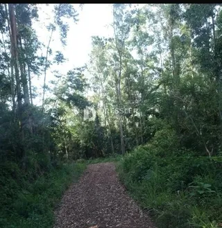 Área rural, foto 10