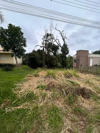 Terreno, foto 3