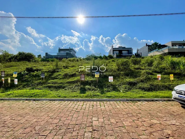 Terreno, foto 2