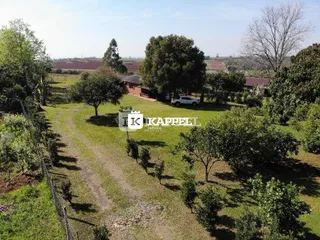 Vista de um campo aberto com vegetação e um caminho de terra em uma propriedade rural.