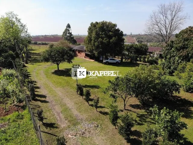 Vista de um campo aberto com vegetação e um caminho de terra em uma propriedade rural.