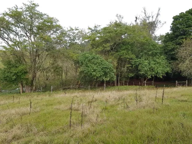 Área rural, foto 4