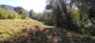 Terreno, foto 8