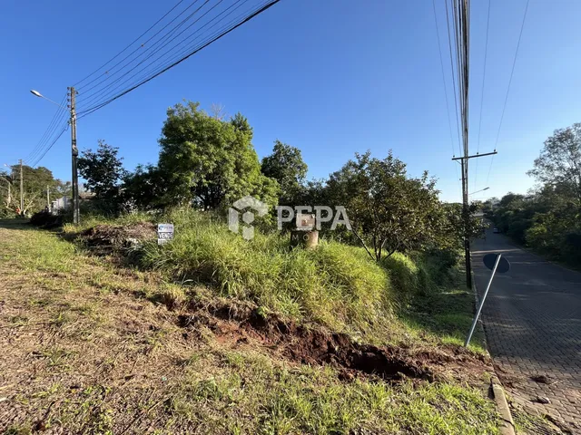 Terreno, foto 3