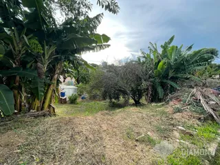 Terreno, foto 1