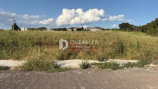 Vista externa de uma propriedade com vegetação alta no primeiro plano.