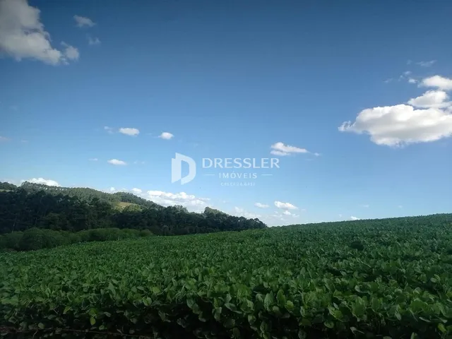 Área rural, foto 3