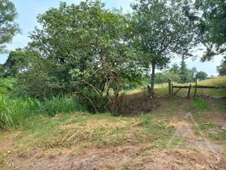 Área rural com 3 dormitórios, foto 9