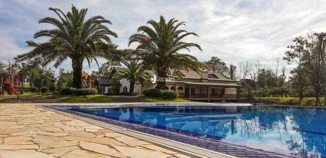 Vista externa de uma piscina com palmeiras em um ambiente ao ar livre.