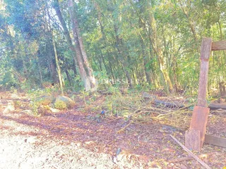 Área rural, foto 7