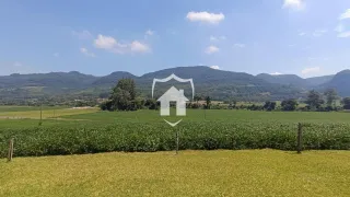Área rural com 3 dormitórios, foto 6