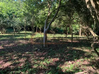 Área rural com 1 dormitório, foto 11