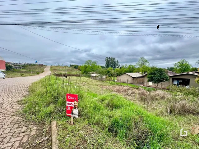 Vista da propriedade com vegetação alta ao longo de uma estrada de paralelepípedos.