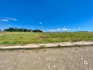 Vista de uma área de campo com vegetação ao longo de uma estrada em Lajeado.