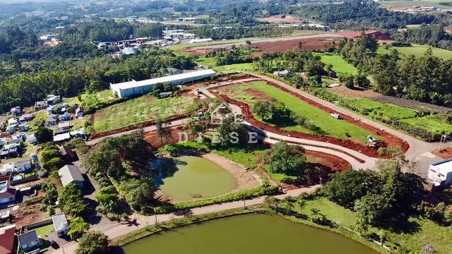 Terreno, foto 2
