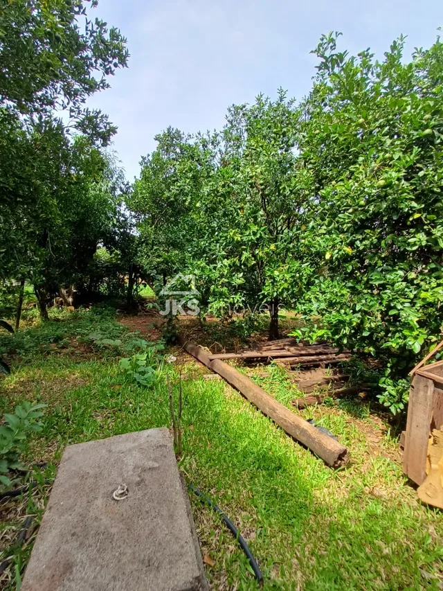 Casa com 2 dormitórios, foto 5