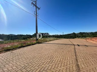 Uma estrada de terra se estende sob um céu azul com vegetação ao fundo.