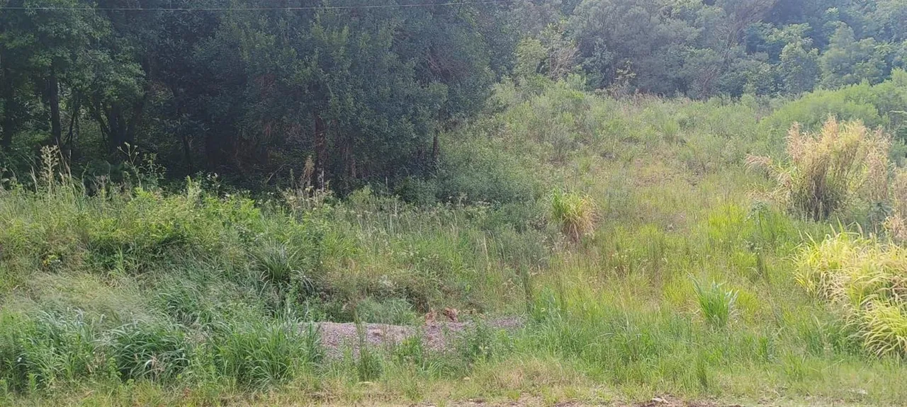 Terreno, foto 1