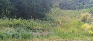 Terreno, foto 1