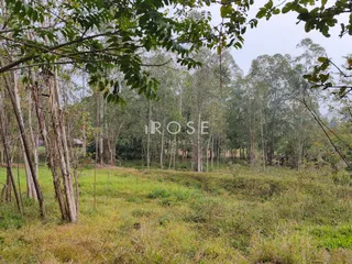 Área rural, foto 9