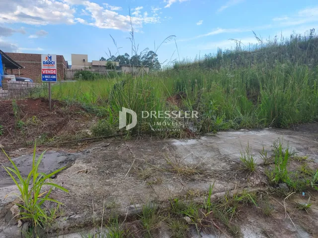 Terreno com vegetação alta e solo irregular na área externa da propriedade.
