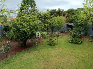 Jardim com vegetação e gramado verde em Lajeado.