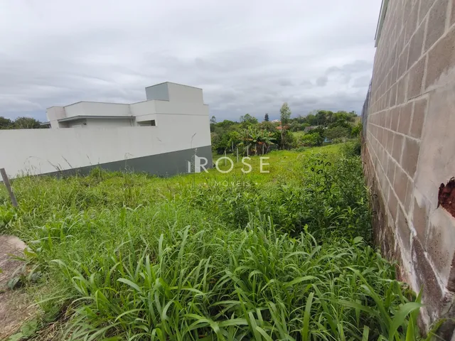 Fachada de uma residência com vegetação alta no primeiro plano.